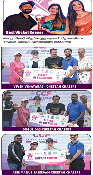 celebrity cricket league